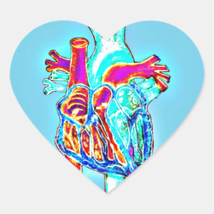 Neon Hand Drawn Anatomical Heart Sticker