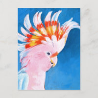 Neon Mohawk - Pink Cockatoo