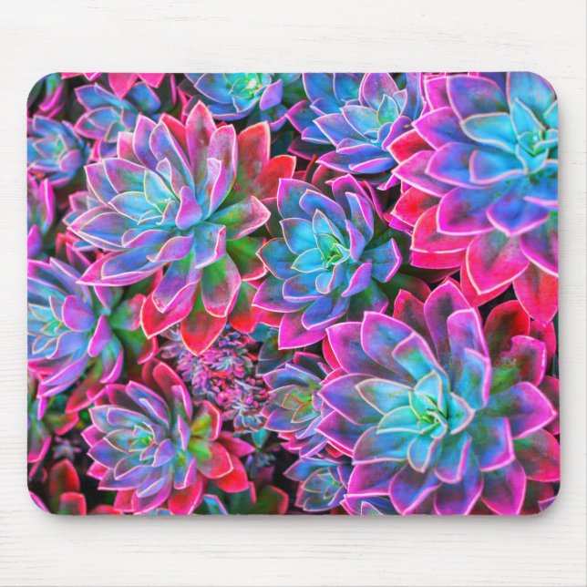 Neon pink Succulent plant Mouse Pad (Front)