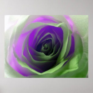Neon Rose Photograph Poster