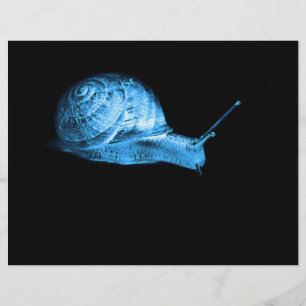 Neon snail