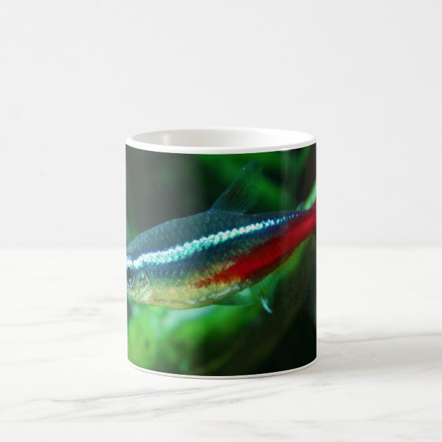 Neon Tetra Fish Paracheirodon Innesi Coffee Mug (Center)