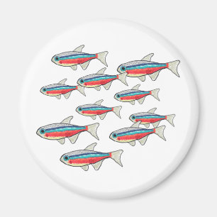 Neon Tetra Magnet