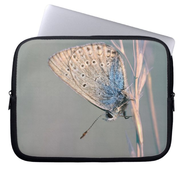 Neoprene Laptop Sleeve 10 inch (Front)
