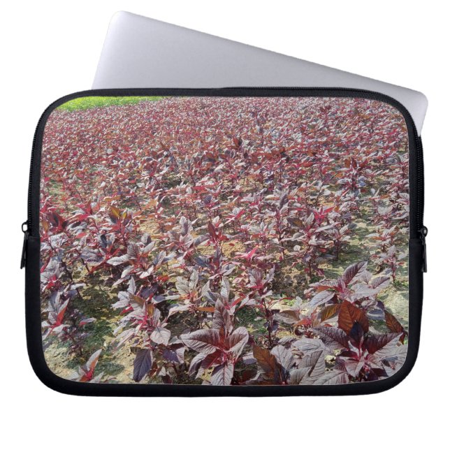 Neoprene Laptop Sleeve 10 inch (Front)