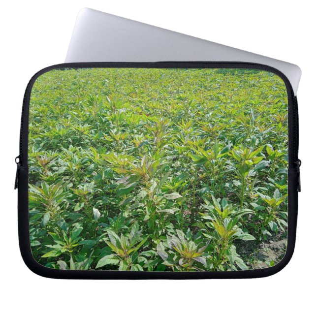 Neoprene Laptop Sleeve 10 inch (Front)