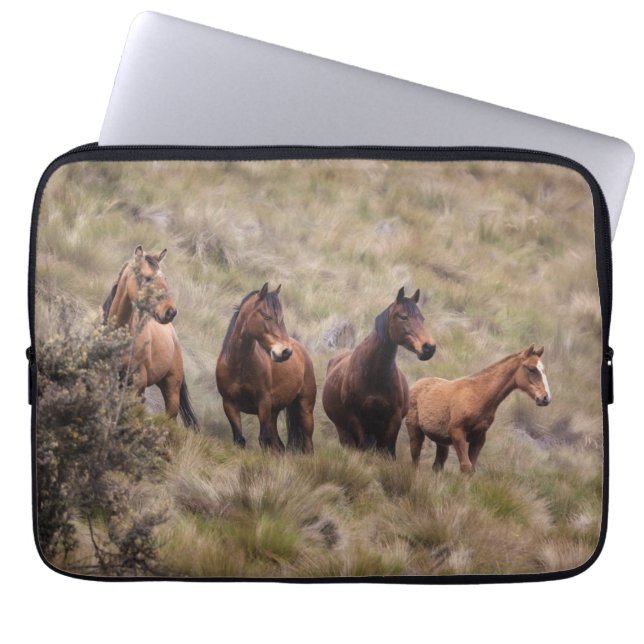 Neoprene Laptop Sleeve 13 inch (Front)