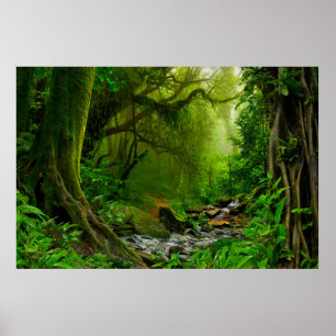 Nepal jungle with riverjungle,forest,ground,river, poster