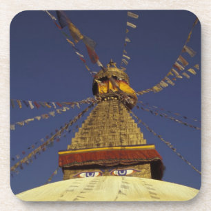 Nepal, Kathmandu. Under prayer flags, watchful Coaster