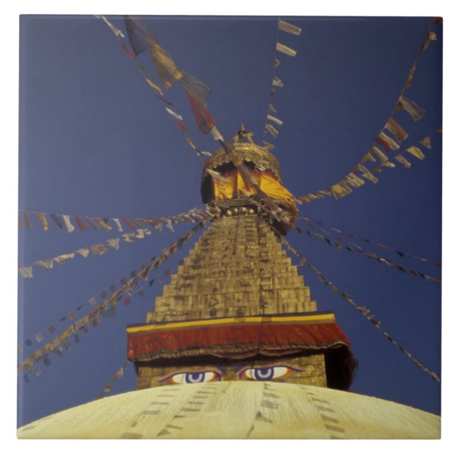 Nepal, Kathmandu. Under prayer flags, watchful Tile (Front)