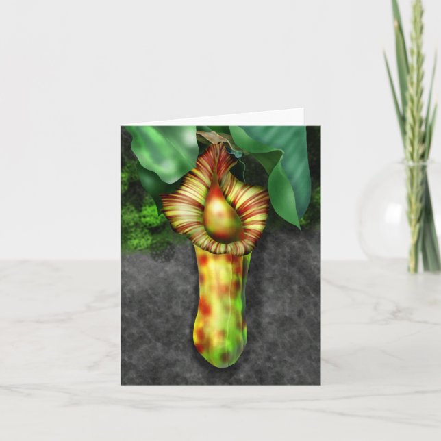 Nepenthes, Pitcher Plant Illustration Note Card (Front)