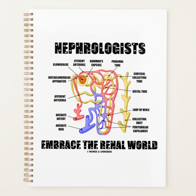 Nephrologists Embrace The Renal World Nephron Planner (Front)