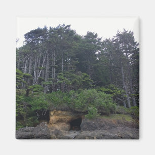 Neptune State Park, OR Magnet