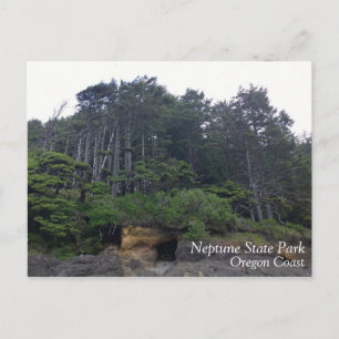 Neptune State Park, OR Postcard