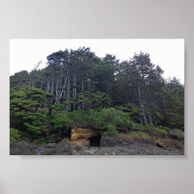 Neptune State Park, OR Poster (Front)