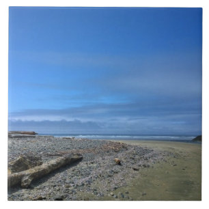 Neptune State Park, OR Tile