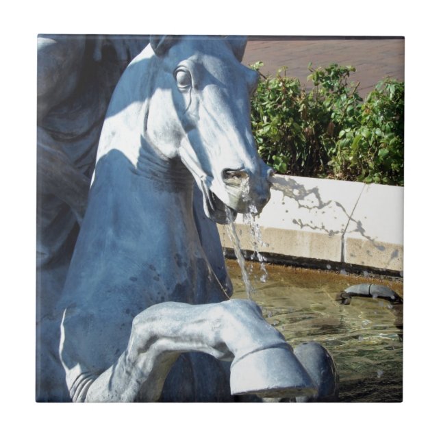 Neptune's Horse, Plaza Fountain Detail Tile (Front)