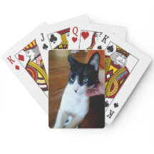 Nero the cat - Bicycle Cards