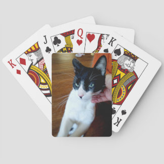 Nero the cat - Bicycle Cards