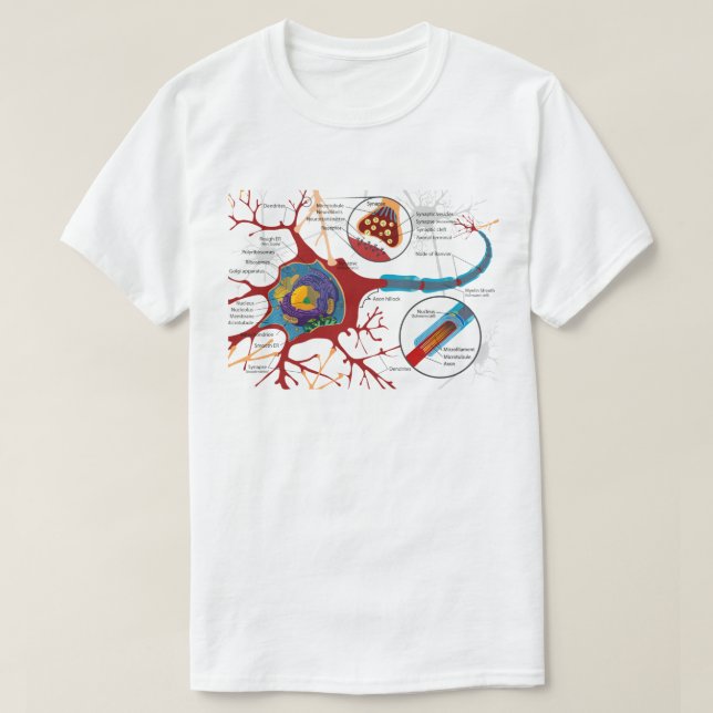 Nerve Cell Diagram Science  T-Shirt (Design Front)