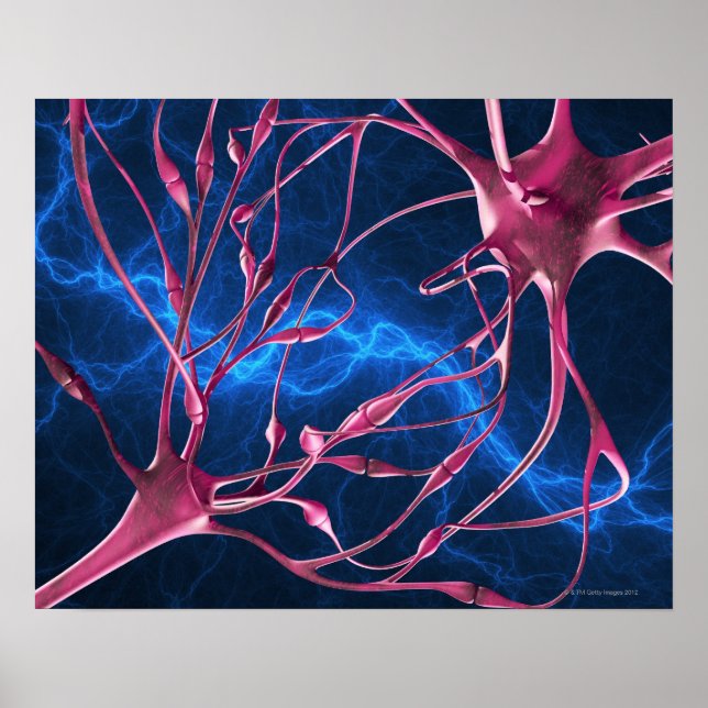 Nerve synapses, computer artwork. poster (Front)