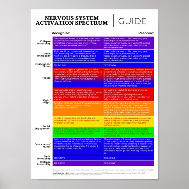 Nervous System Activation Spectrum Guide Poster (Front)