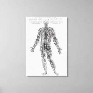 Nervous System (b/w print) Canvas Print