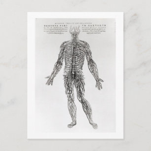Nervous System (b/w print) Postcard