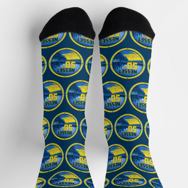 Nesset Reflect B Socks (Top)
