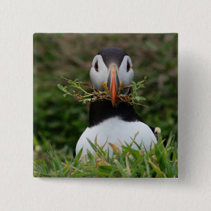 Nest Builder Puffin 15 Cm Square Badge