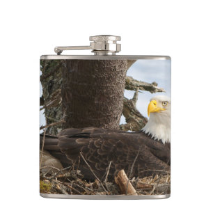 Nesting Bald Eagle Hip Flask