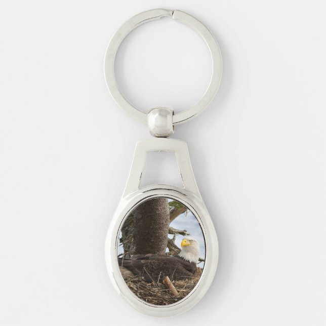 Nesting Bald Eagle Key Ring (Front)