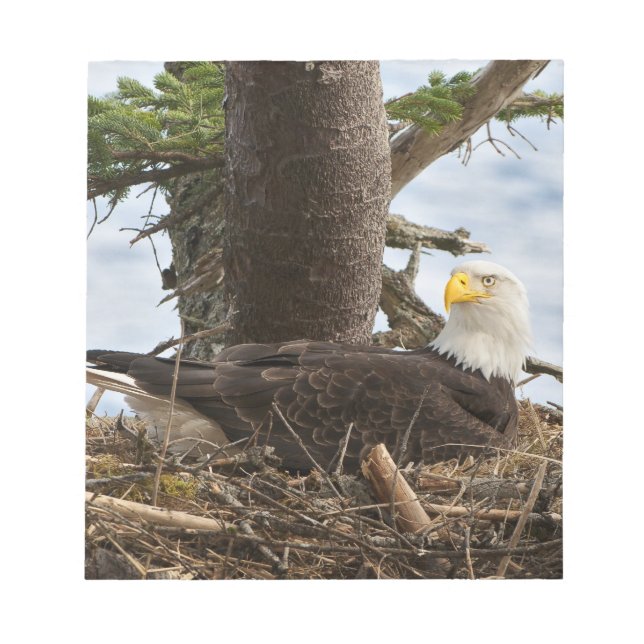 Nesting Bald Eagle Notepad (Front)