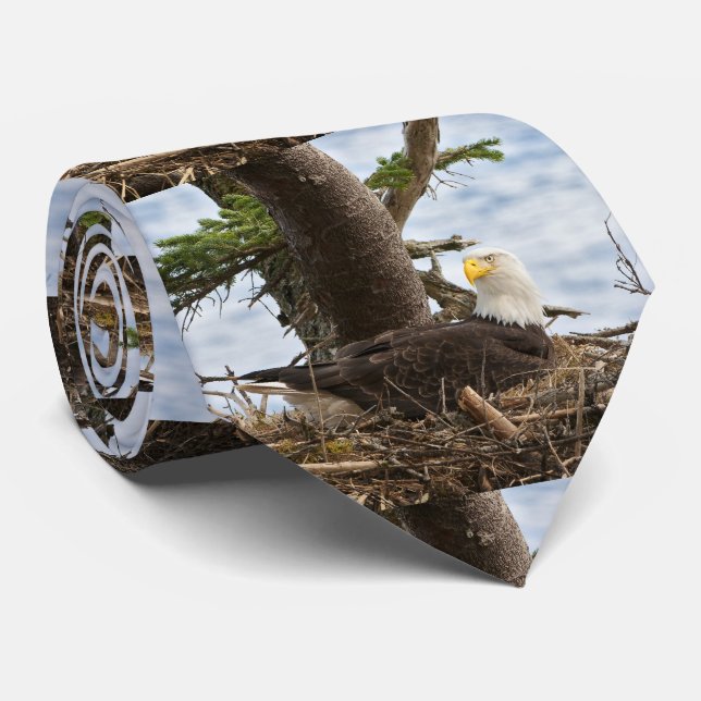 Nesting Bald Eagle Tie (Rolled)