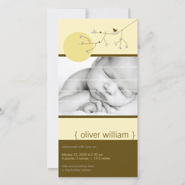 Nesting Bird & Family Baby Boy Birth Announcement (Front)