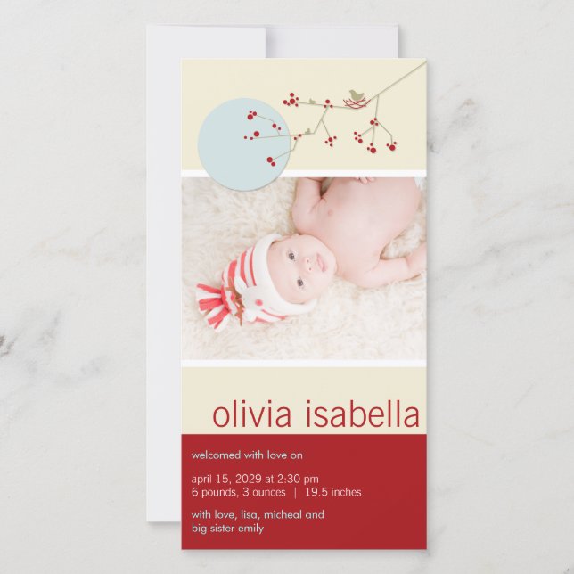 Nesting Bird & Family Baby Girl Birth Announcement (Front)