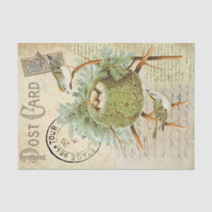 Nesting Bird Postcard Tissue Paper