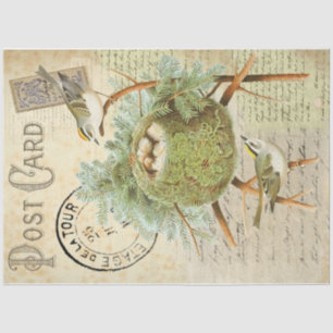 Nesting Bird Postcard Tissue Paper