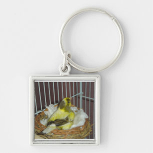 Nesting canary key ring