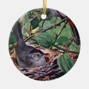 Nesting Grey Catbirds Ceramic Tree Decoration