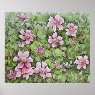 Nesting in Clematis Poster