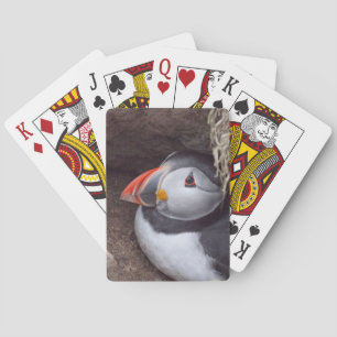 Nesting Puffin Playing Cards