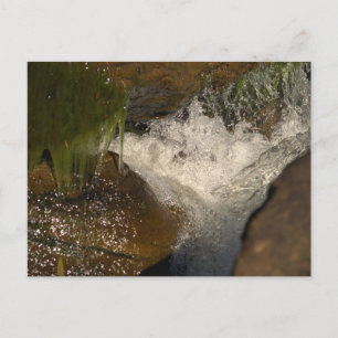 Nestled comfortably postcard