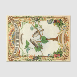 Nests and Eggs Birds of the United States Tissue Paper