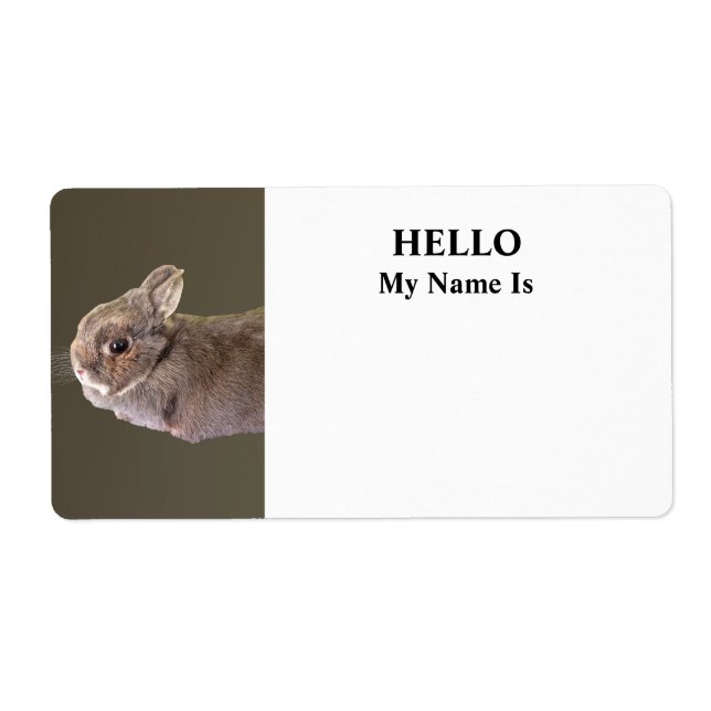 Netherland Dwarf Rabbit (Front)