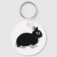 Netherland Dwarf Rabbit