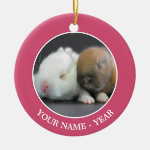 Netherland Dwarf Rabbits Ceramic Tree Decoration