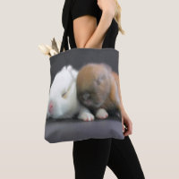 Netherland Dwarf Rabbits