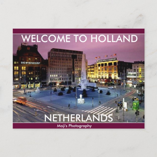 NETHERLAND oxes Postcard  (Front)
