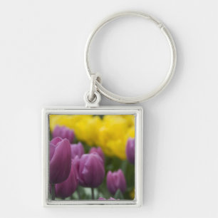 Netherlands aka Holland), Lisse. Keukenhof 10 Key Ring